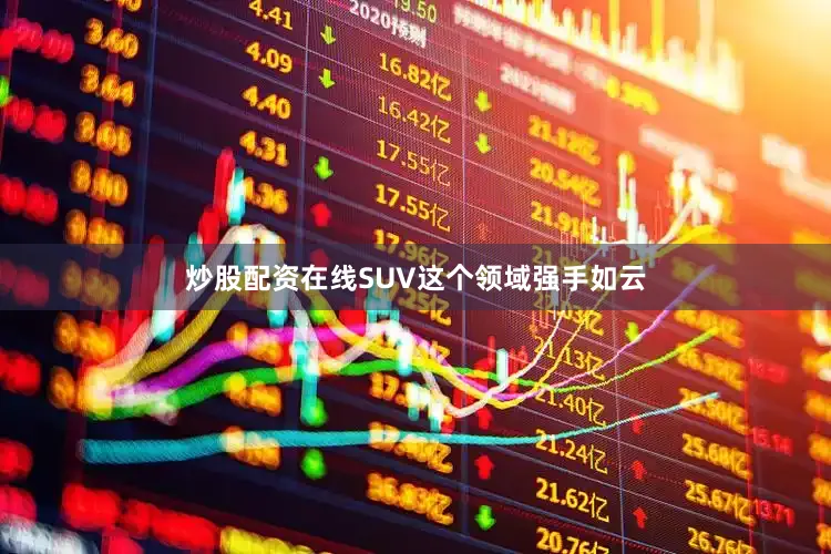 炒股配资在线SUV这个领域强手如云
