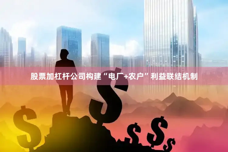 股票加杠杆公司构建“电厂+农户”利益联结机制